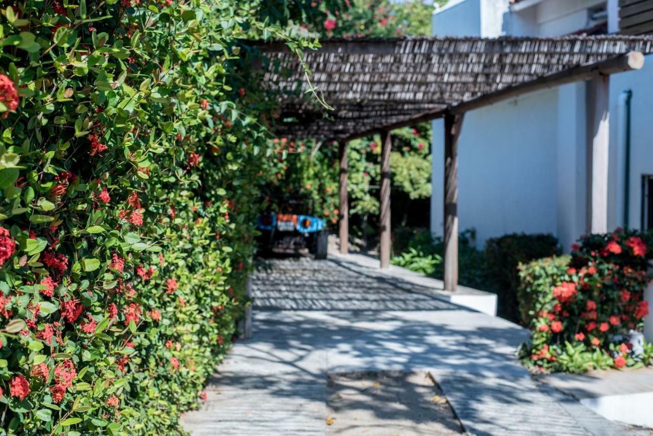Villa Casa Blanca del Faro Zipolite Exterior foto